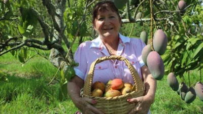 Produtos orgânicos ganham espaço no mercado