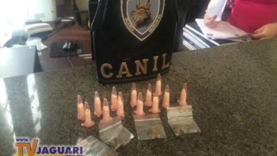 PM localiza entorpecentes com auxílio de cão da GM