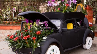 Expoflora começa nesta sexta em Holambra e espera cerca de 300 mil visitantes