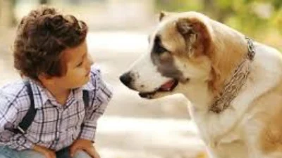 Médico Veterinário orienta sobre como escolher o animal de estimação ideal para sua família