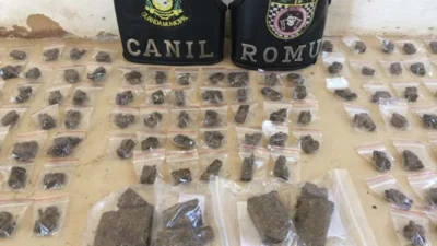 Operação da GM encontra quase meio quilo de maconha