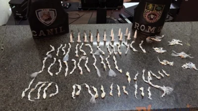 Drogas e peças de moto abandonadas são encontradas em matagal