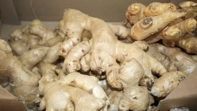 Termogênicos ajudam na digestão e no emagrecimento