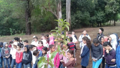 Secretaria realiza atividades na Semana do Meio Ambiente