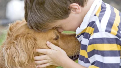 Ter animais de estimação auxilia o desenvolvimento da criança