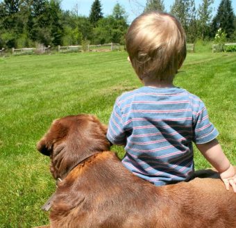 Para crianças com autismo, depressão e síndromes genéticas, os pets são de grande auxílio