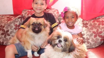 Ryan e Ana Lívia se divertem com seus xodós Biscoito e Beethoven
