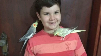 Diego considera as duas calopsitas como a alegria da casa