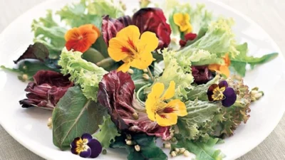 Flores comestíveis dão toque de sabor e saúde aos pratos
