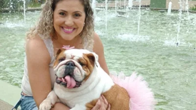 Malu, a Bulldog Inglês, foi adotada por Bruna