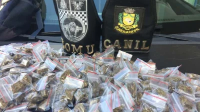 Canil de Cosmópolis ajuda na localização de maconha em Artur Nogueira