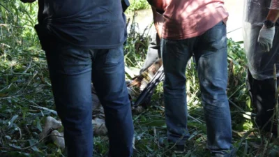 Corpo encontrado boiando no Rio Jaguari pode ser de pescador desaparecido