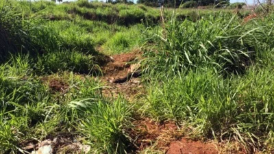 Guarda Municipal encontra homem morto a pedradas