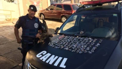 Cão de faro da GM indica esconderijo de drogas no Parque Ester
