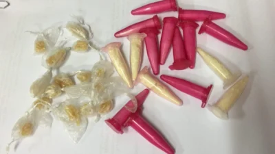 Cocaína e crack são encontrados em tubo de PVC abandonado
