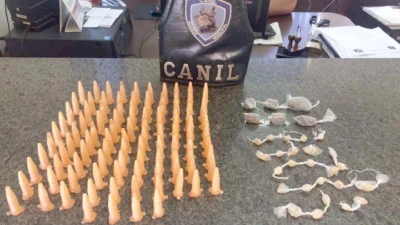 Novo cão da GM já está sendo treinado para busca de entorpecentes