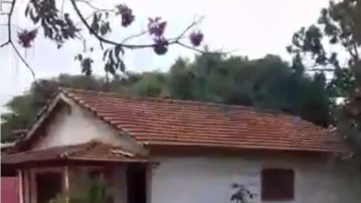 Cosmopolenses são liberadas em casa de prostituição em S. José do Rio Pardo