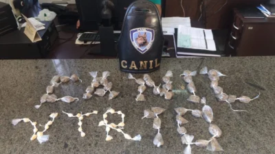 Cão de faro da GM continua mostrando bons resultados na localização de drogas