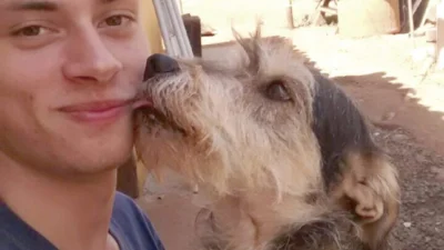Meu animal meu xodó