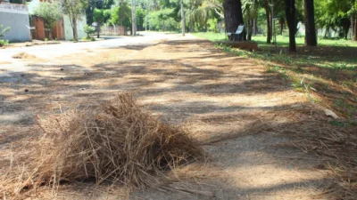 Cosmopolenses requisitam melhorias na Pista de Caminhada da Raul Veroneze