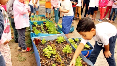Colheita finaliza projeto que ensina conceitos de plantio e alimentação saudável às crianças