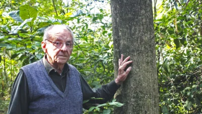 Fruto de muita dedicação, mata ciliar situada às margens da represa hoje é um dos bens mais valiosos de Cosmópolis
