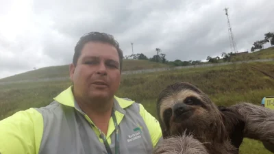 Bicho-preguiça é resgatado e “faz selfie” no Corredor Dom Pedro