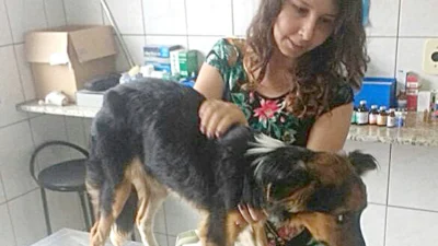 Situação precária de maus tratos e abandono de animais em Cosmópolis preocupa voluntários e cuidadores da cidade