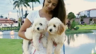 Jéssica Silvério e os Lhasa Apso Mel e Jimy
