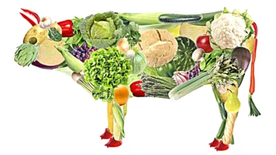 Dieta vegetariana pode prevenir doenças crônicas, afirma nutricionista