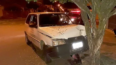 Motorista com sintomas de embriaguez bate em árvore