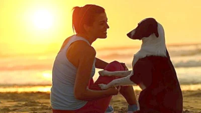 Devido ao maior apego, novas gerações tendem a sofrer mais após perda de animais, diz veterinário