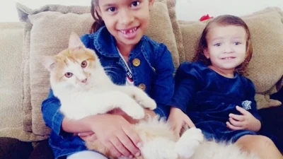 O xodó desta semana é o gatinho Sherikan, da Nicolly Isabelly