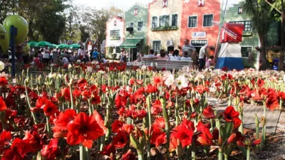 Expoflora começa as inscrições para participação na Mostra de Paisagismo