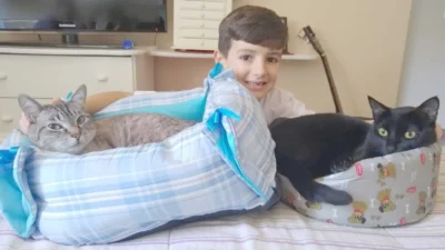 Os xodós desta semana são os gatos Manolo e Black, do Ravi Alves Maerki de Oliveira