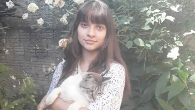O xodó dessa semana é o gato Mitza, ou Mushiba de Amanda Cristina Garcia Bratfich