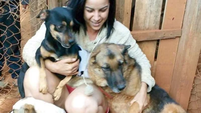 Animais deficientes podem voltar a ter uma vida normal, afirma veterinária