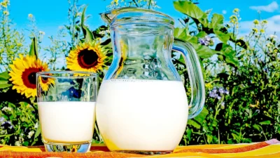 Vitamina D previne miomas e  diversas outras doenças