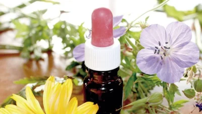 Homeopatia: a arte da cura pela natureza