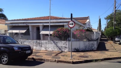 Empreendedorismo visionário cultivando suas raízes