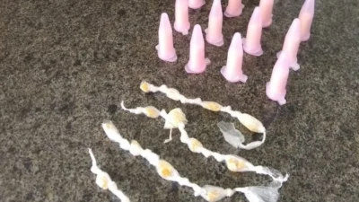 Polícia Municipal encontra drogas em dias consecutivos