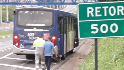 Ônibus bate na traseira de caminhão após motorista avistar cavalo na pista