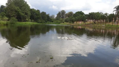 CETESB visita Lagoa da Vila Cosmo para testes de possível contaminação