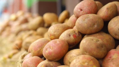 Governo de São Paulo zera ICMS de frutas, verduras e hortaliças embaladas