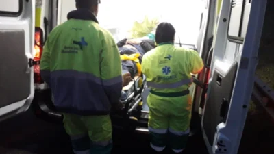 Carro e moto se envolvem em acidente após colidirem com animal na pista