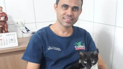 Guia de Profissões: Veterinário