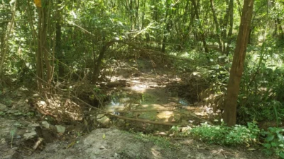 Prefeitura é notificada pela Polícia Militar Ambiental sobre possível crime contra o meio ambiente