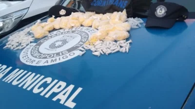 Mais de mil pinos são apreendidos pela GM na Valter Dester