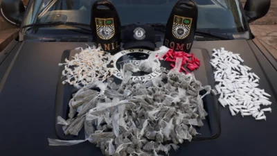 Em conjunto, equipes da GM monitoram e apreendem drogas