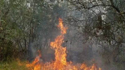 Defesa Civil é acionada para incêndio de grandes proporções